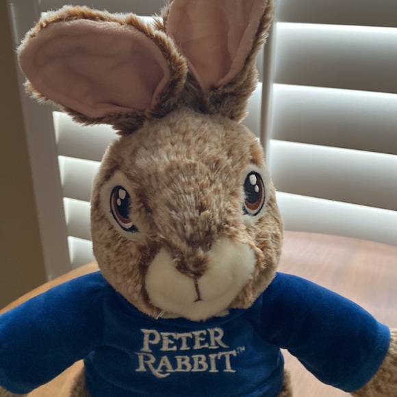 Peter Rabbit - Picture 3 of 5